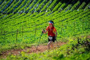 BIB: 1833
                            <button type="button" onclick="openModal(19163062)" class="btn btn-primary btn-sm float-right btn-popup" data-toggle="modal" data-target=".modal-high-quality">
                        <i class="fas fa-shopping-cart"></i> Add to Cart
                    </button>
                                            <button type="button" onclick="isThisMe(19163062, true)" class="btn btn-success btn-sm float-right btn-popup btn-isme hidden" data-toggle="tooltip" data-placement="bottom" title="นี่คือรูปของคุณใช่ไหม คลิกที่นี่เพื่อเอาเข้าอัลบั้ม">
                        <i class="fas fa-plus"></i> Add to album
                    </button>
                    <button type="button" onclick="isThisMe(19163062, false)" class="btn btn-warning btn-sm float-right btn-popup btn-isnotme hidden">
                        <i class="fas fa-ban"></i> Remove from album
                    </button>